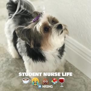 Meet your Posher, Amyen